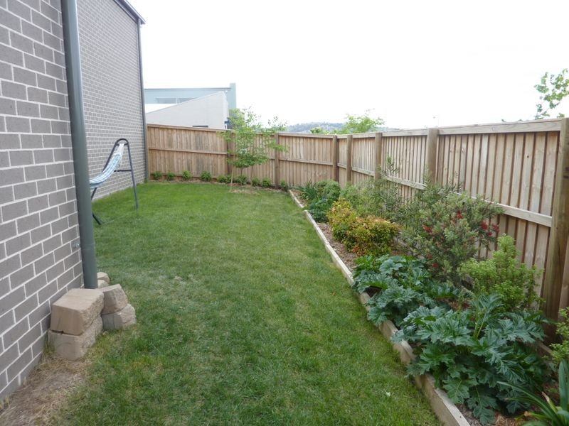 172 Oodgeroo Avenue, Franklin ACT 2913