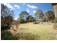 7 Fairley Crescent, Theodore ACT 2905