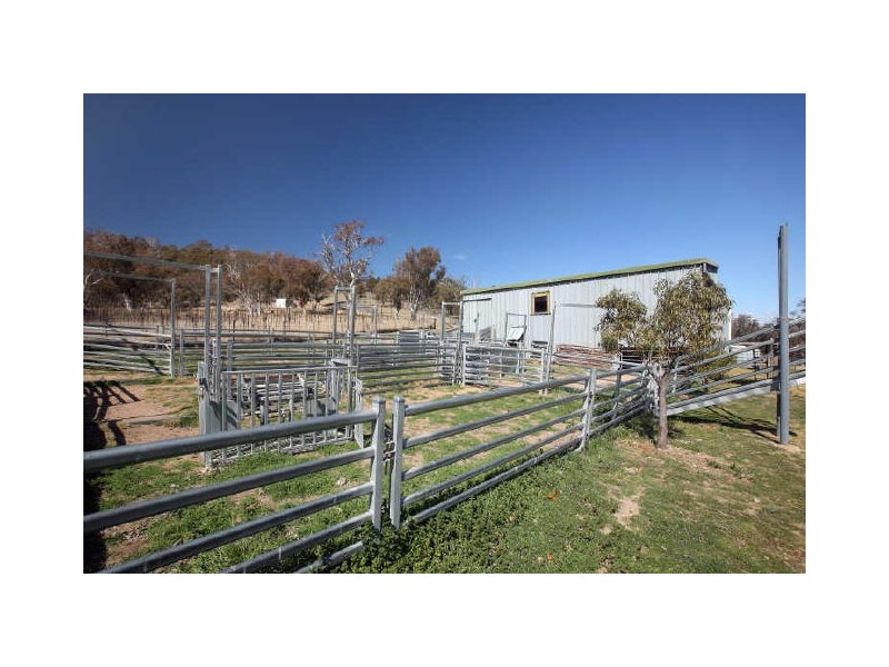 121 Jinjera Road, Michelago NSW 2620