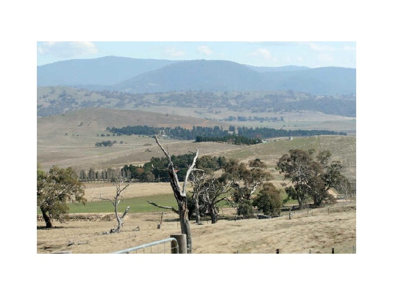 121 Jinjera Road, Michelago NSW 2620