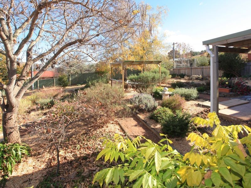 24 Dookie Street, Farrer ACT 2607