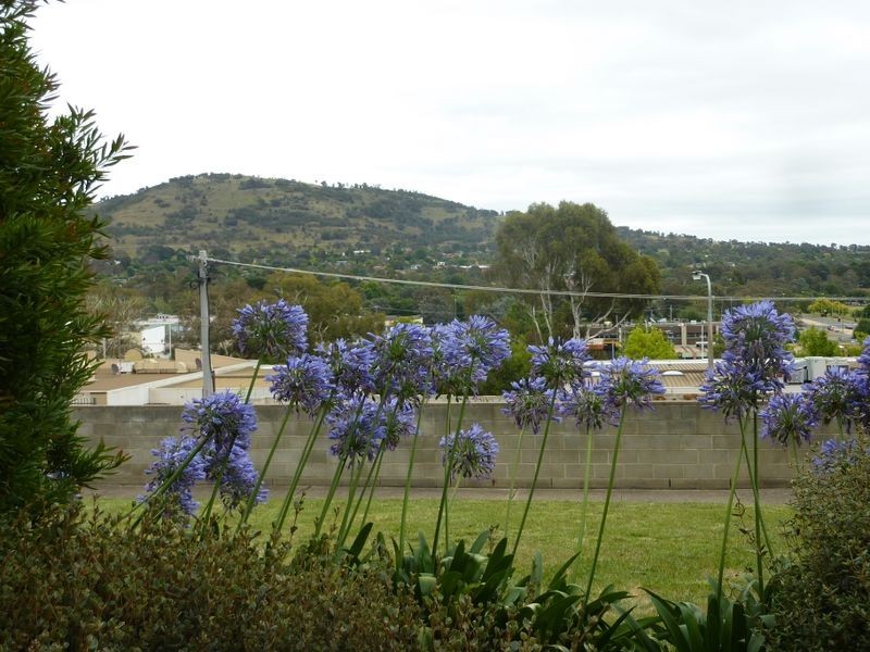 24/4 Wilkins Street, Mawson ACT 2607