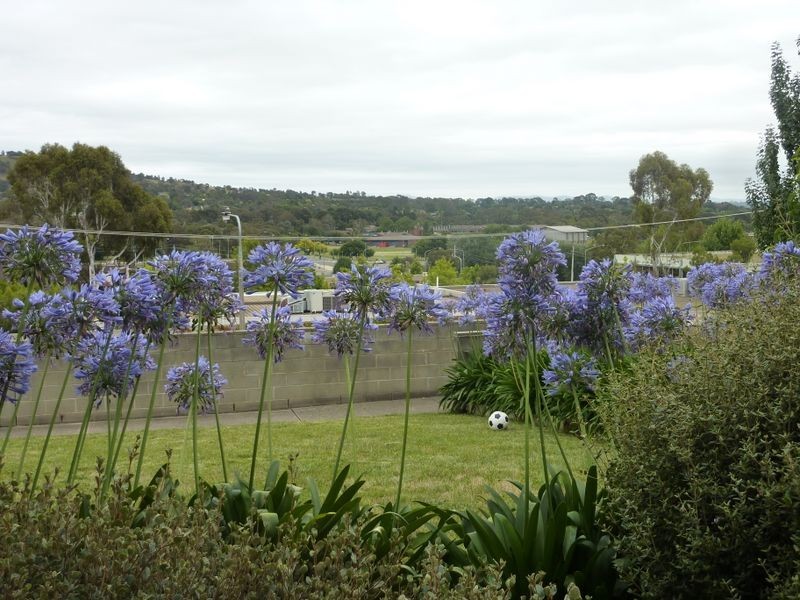 24/4 Wilkins Street, Mawson ACT 2607