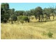 36 Schonell Circuit, Oxley ACT 2903
