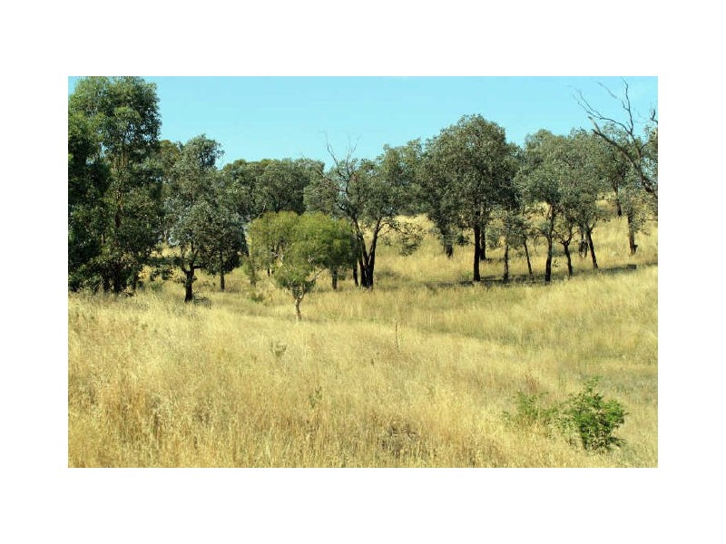 36 Schonell Circuit, Oxley ACT 2903