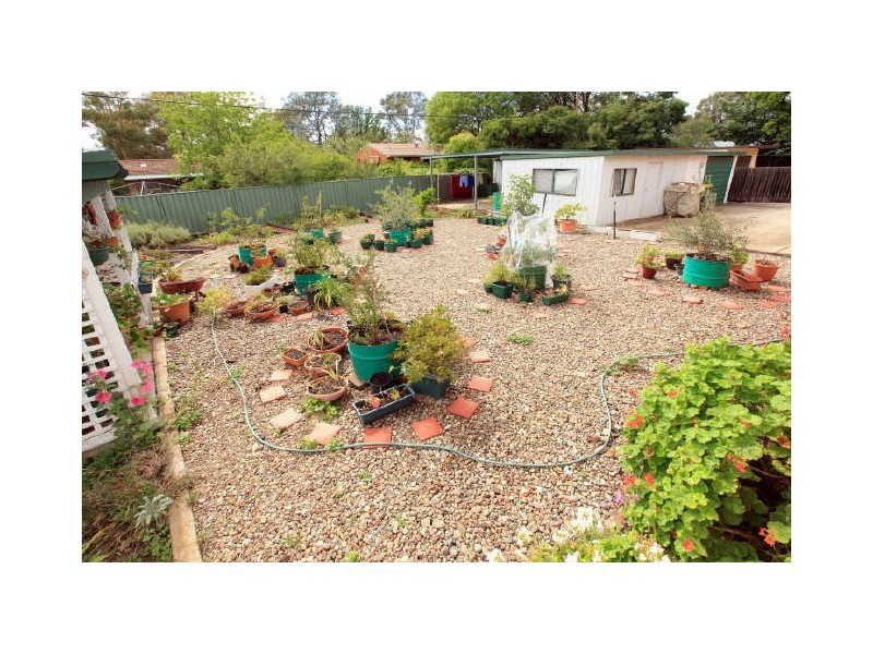 33 Jefferis Street, Torrens ACT 2607