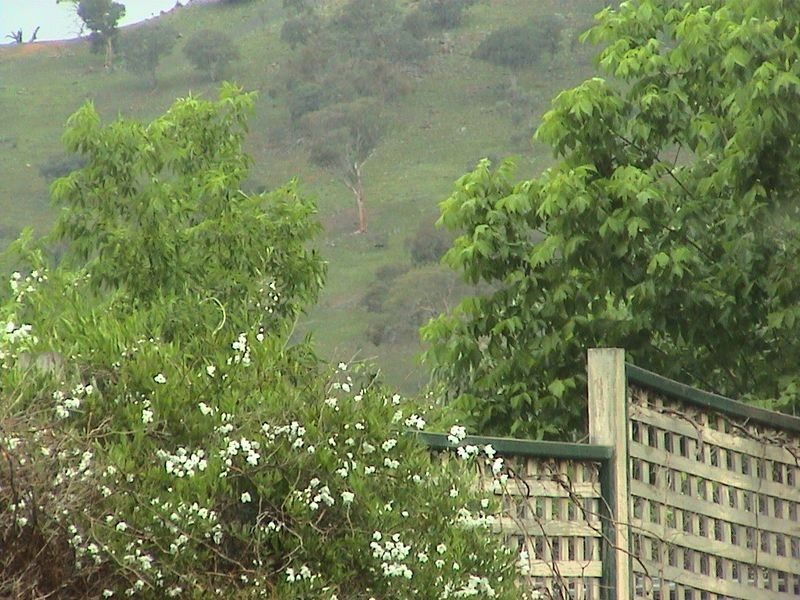 107 Pockett Avenue, Banks ACT 2906