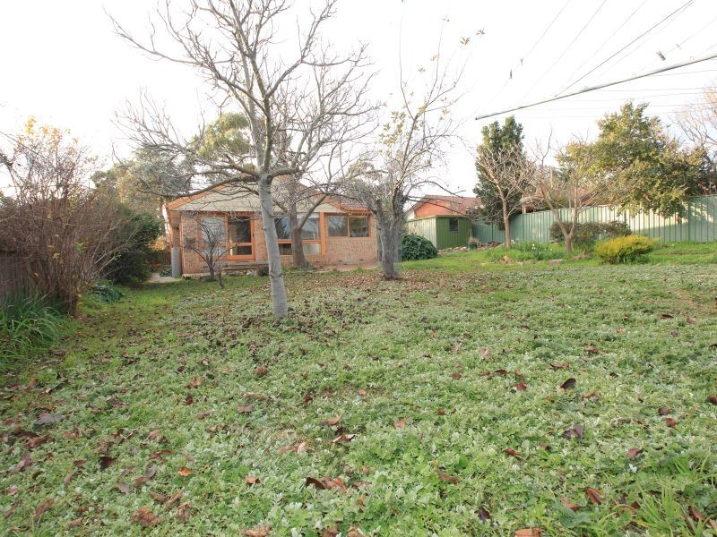 17 Falkiner Place, Macarthur ACT 2904