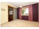 20 Andrew Crescent, Calwell ACT 2905