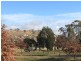 77 Pockett Avenue, Banks ACT 2906