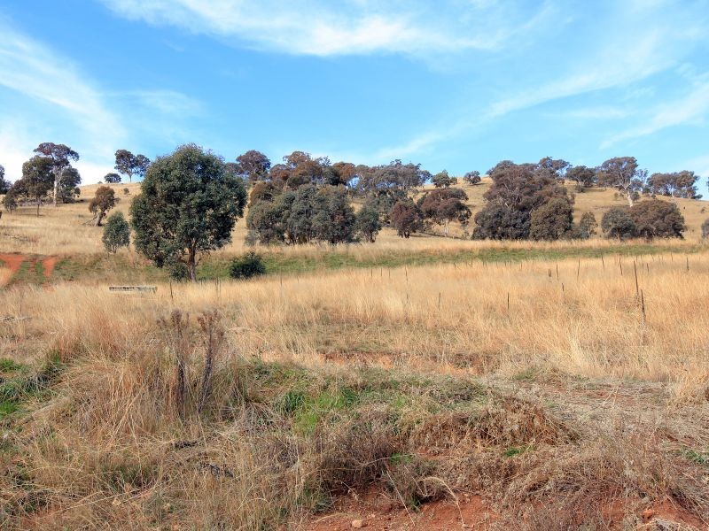 25 Galbraith Close, Banks ACT 2906