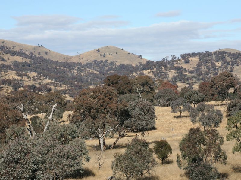 16 McVilly Close, Gordon ACT 2906