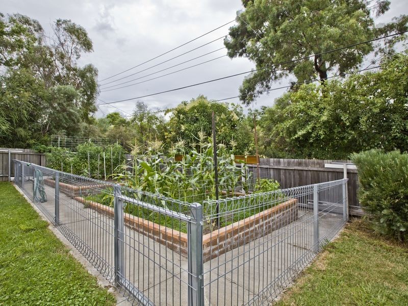 6 Olliff Place, Farrer ACT 2607