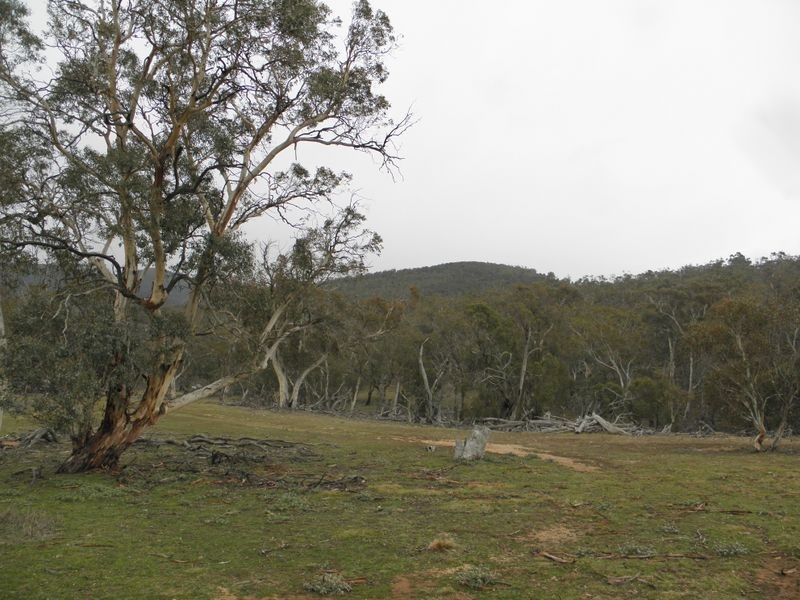 Lot 1 Shannons Flat Road, Shannons Flat NSW 2630