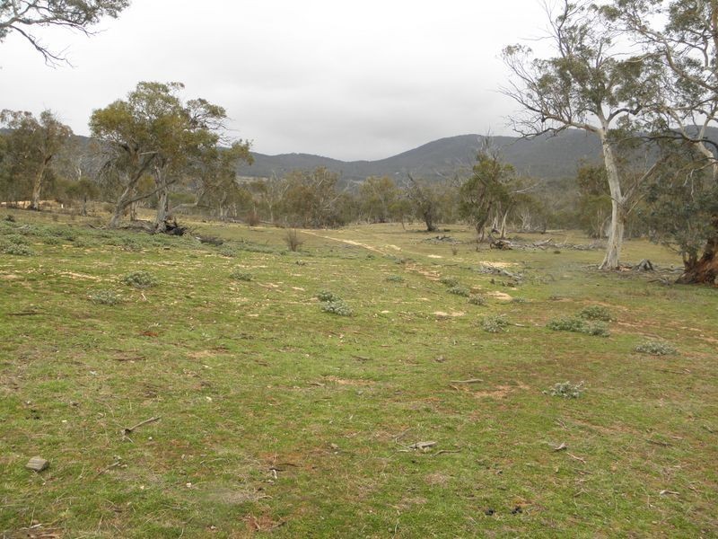 Lot 1 Shannons Flat Road, Shannons Flat NSW 2630
