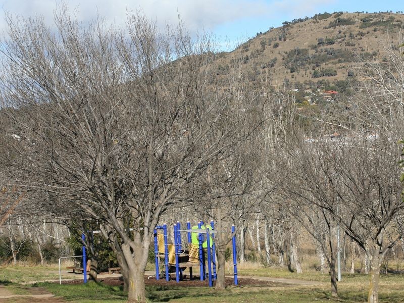 9/12 Horbury Street, Phillip ACT 2606