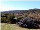 51 Louis Loder Street, Theodore ACT 2905