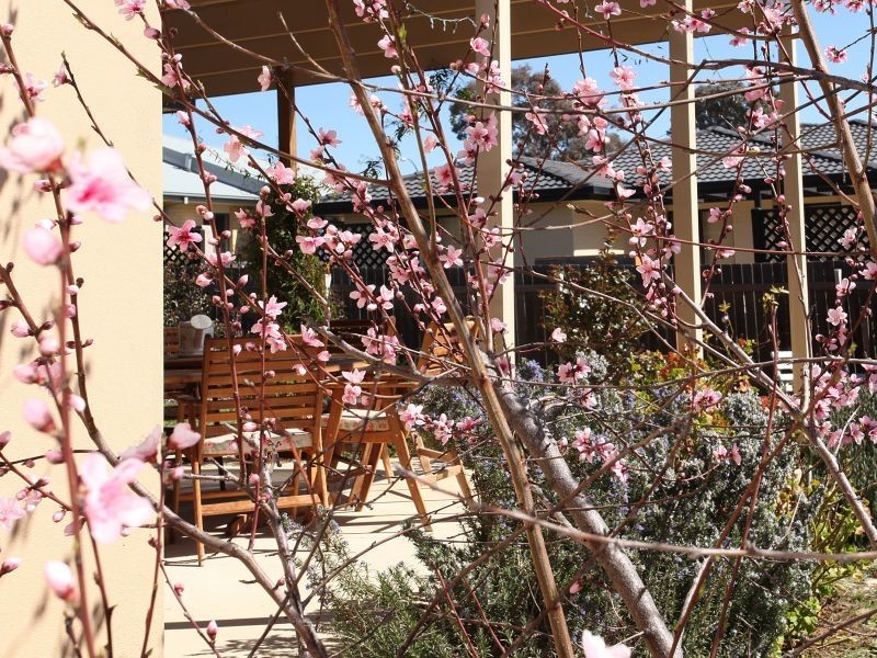 4 Pannamena Crescent, Jerrabomberra NSW 2619