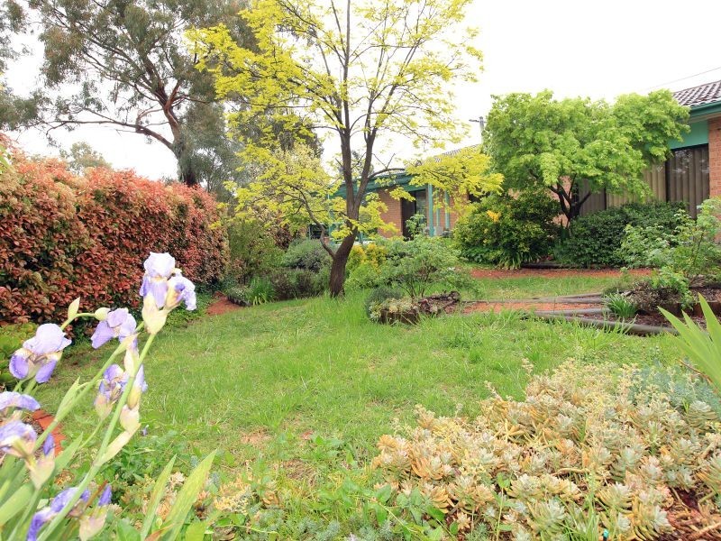 4 Haynes Place, Stirling ACT 2611