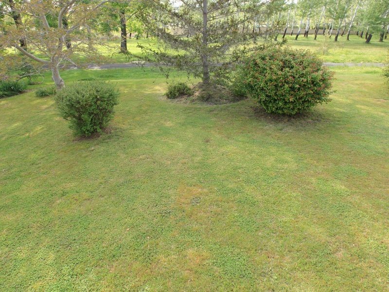 55 Allan Street, Curtin ACT 2605