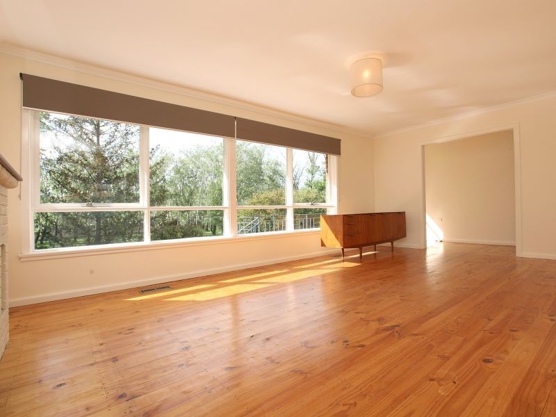 55 Allan Street, Curtin ACT 2605