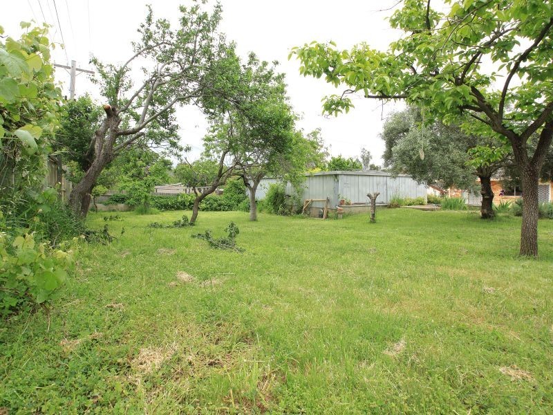 244 Beasley Street, Farrer ACT 2607