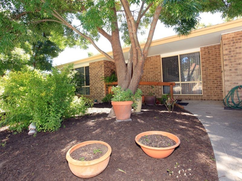 36/63 Hurtle Avenue, Bonython ACT 2905
