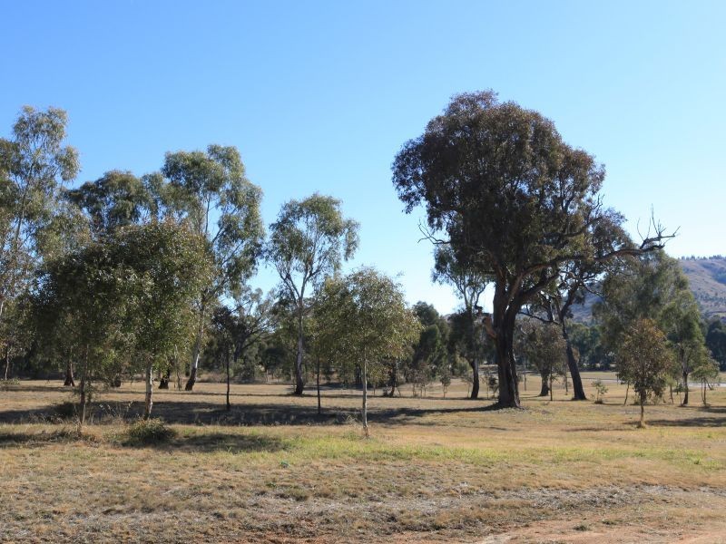50 Morant Circuit, Kambah ACT 2902
