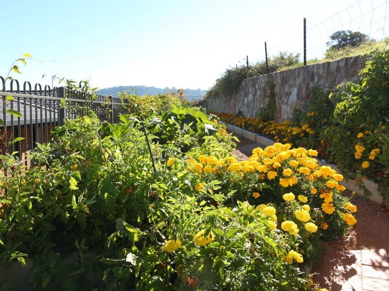 42 Galbraith Close, Banks ACT 2906