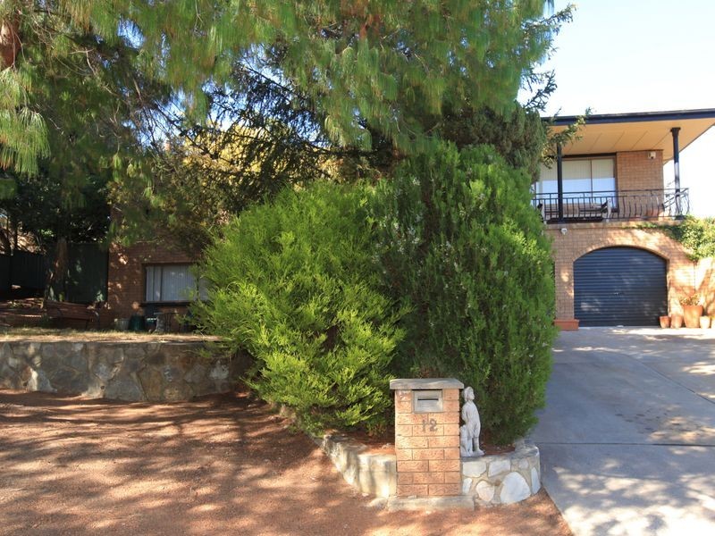 12 Halfrey Circuit, Wanniassa ACT 2903