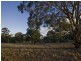 296 East Tallagandra Lane, Sutton NSW 2620