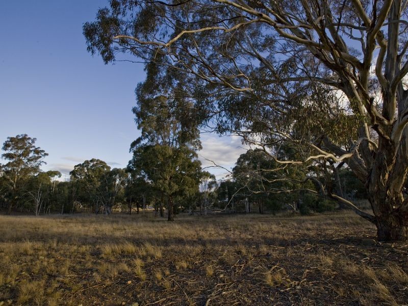 296 East Tallagandra Lane, Sutton NSW 2620