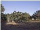 296 East Tallagandra Lane, Sutton NSW 2620