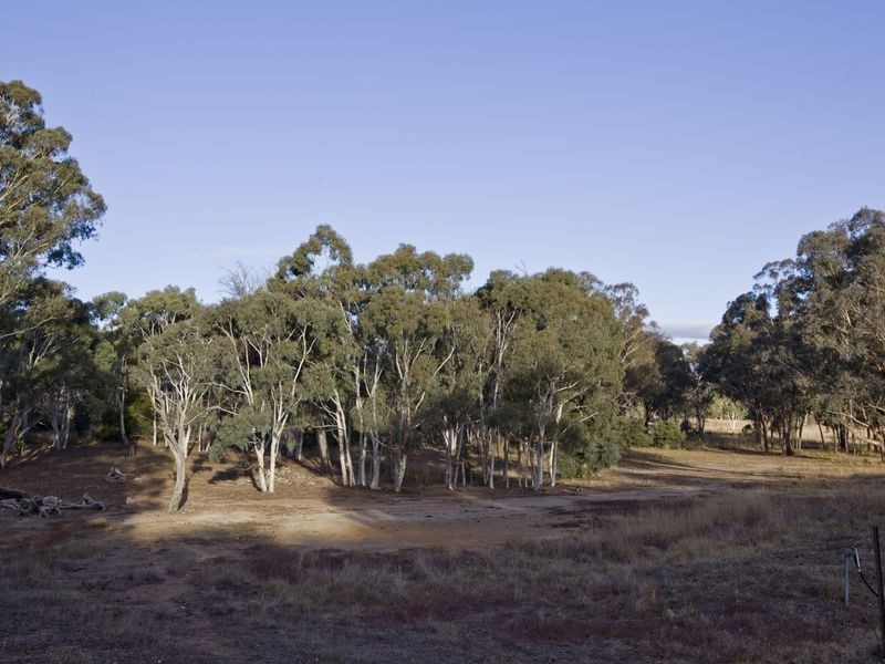 296 East Tallagandra Lane, Sutton NSW 2620