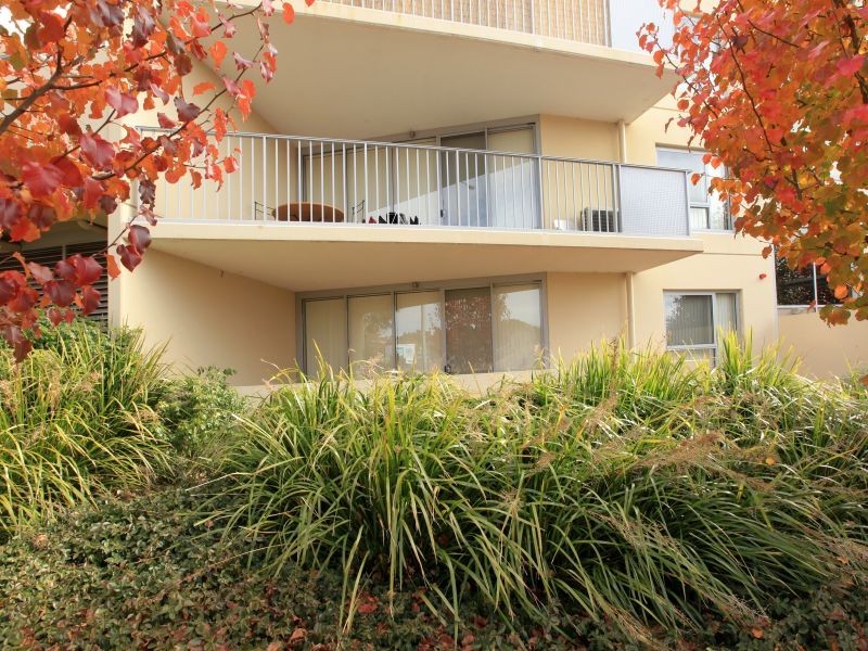 1/60 Callam Street, Phillip ACT 2606