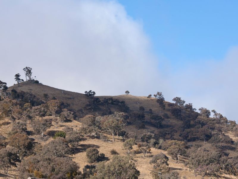 10 Wheelwright Crescent, Banks ACT 2906