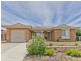 29 Newlop Street, Ngunnawal ACT 2913