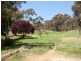 98 Buxton Crescent, Deakin ACT 2600