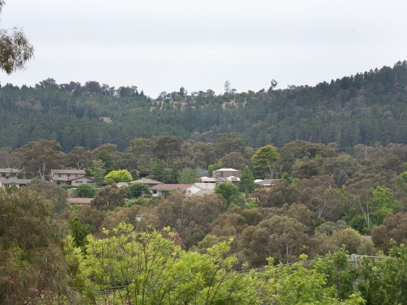 14 Steinwedel Street, Farrer ACT 2607