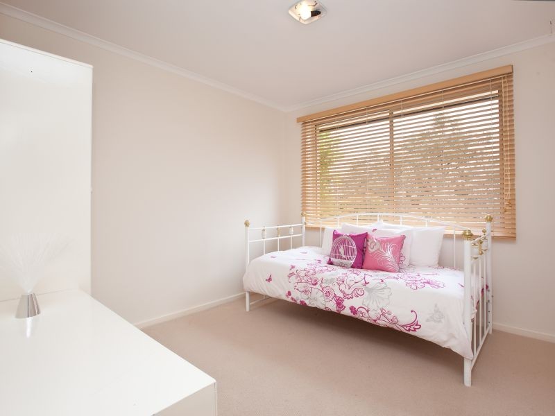 14 Steinwedel Street, Farrer ACT 2607