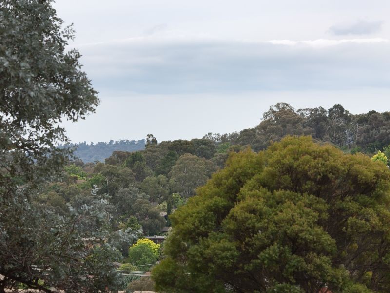 14 Steinwedel Street, Farrer ACT 2607