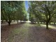 10 Osprey Drive, Urunga NSW 2455