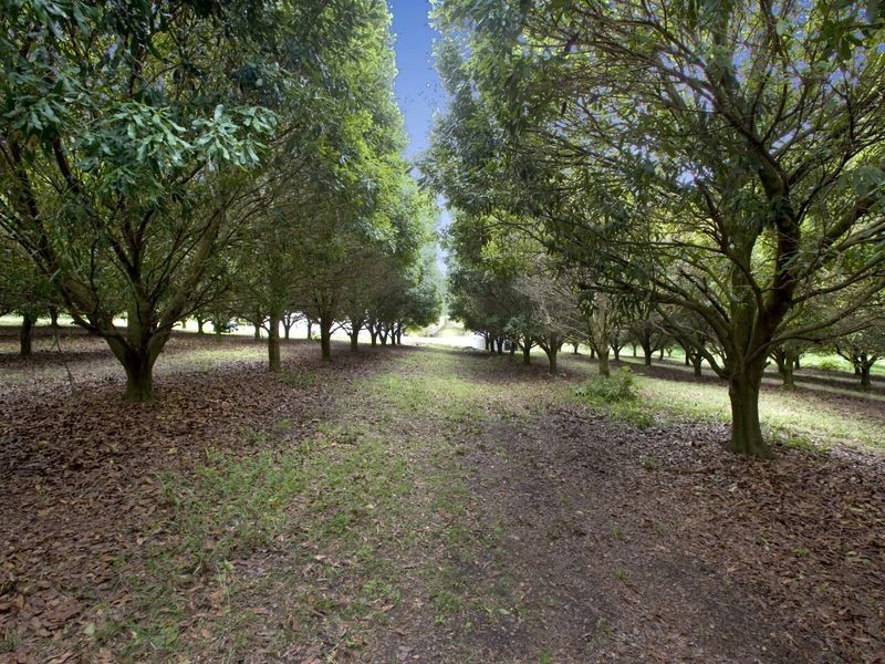 10 Osprey Drive, Urunga NSW 2455