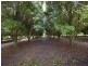 10 Osprey Drive, Urunga NSW 2455