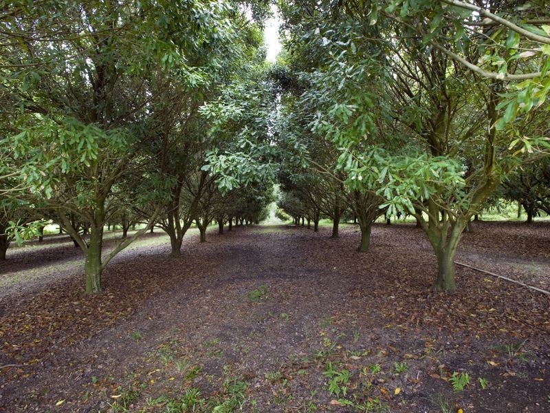 10 Osprey Drive, Urunga NSW 2455