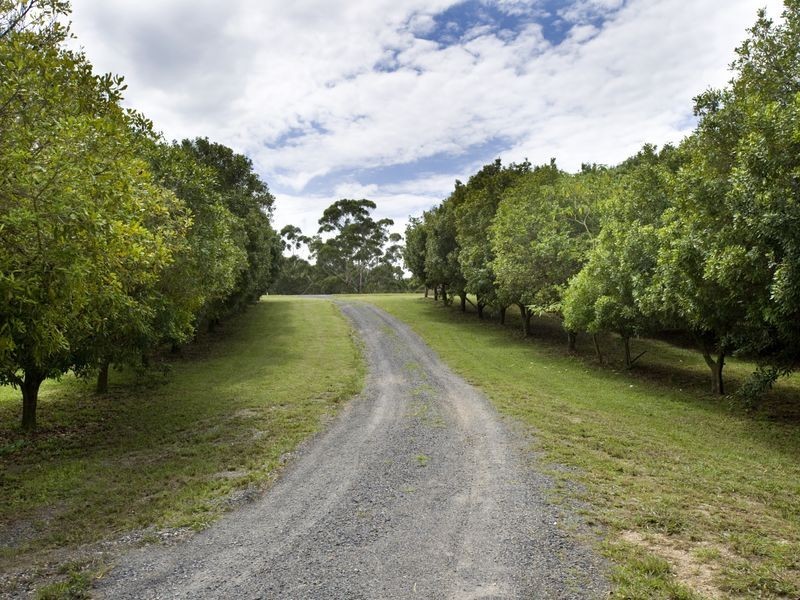 10 Osprey Drive, Urunga NSW 2455
