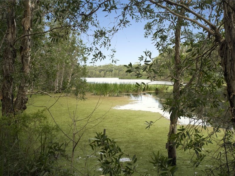 10 Osprey Drive, Urunga NSW 2455