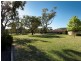 24/41 Ern Florence Crescent, Theodore ACT 2905