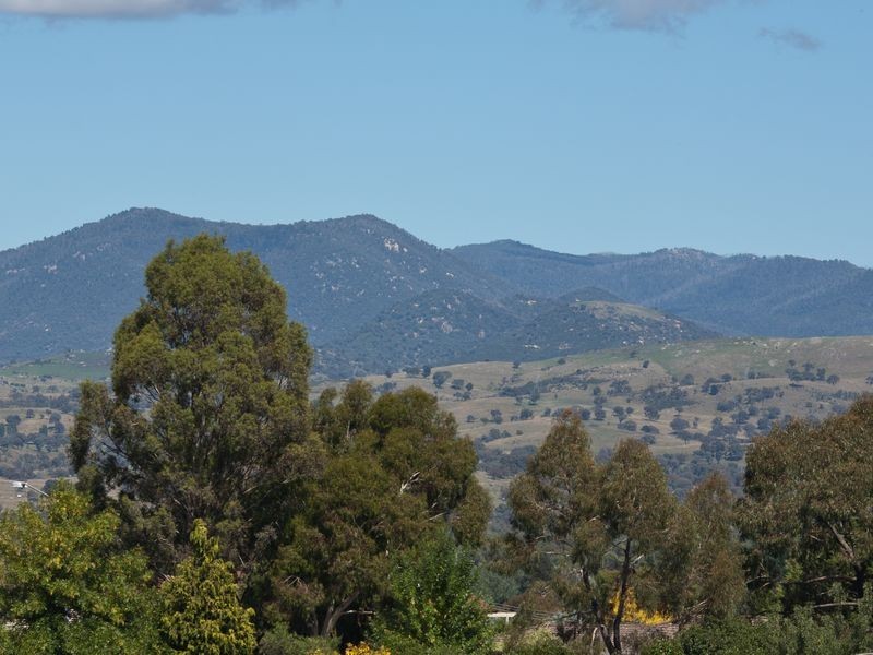 20 Coningham Street, Gowrie ACT 2904