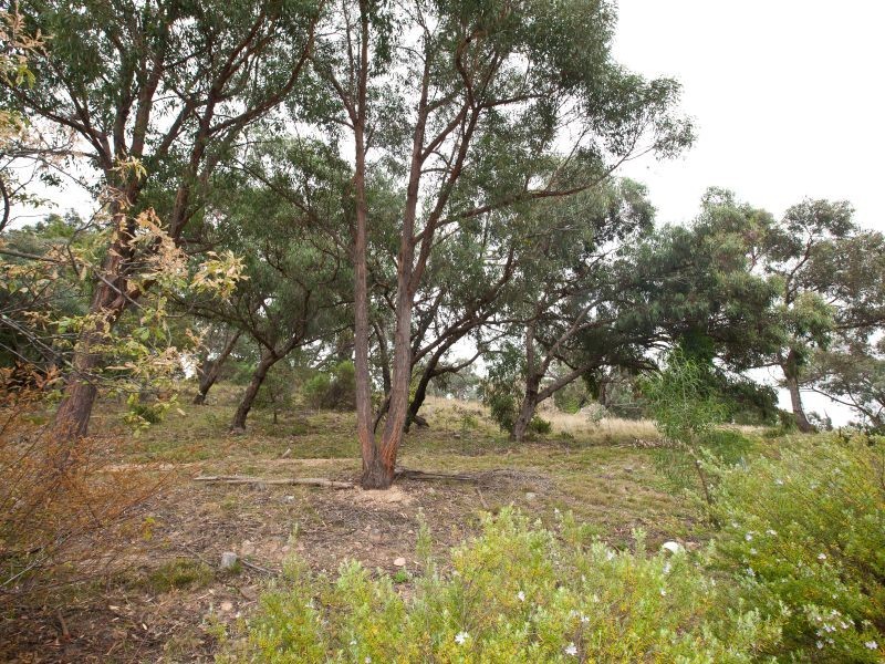 41 Jackie Howe Crescent, Macarthur ACT 2904